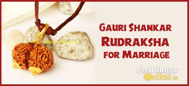 Gauri Shankar Rudraksha for Marriage