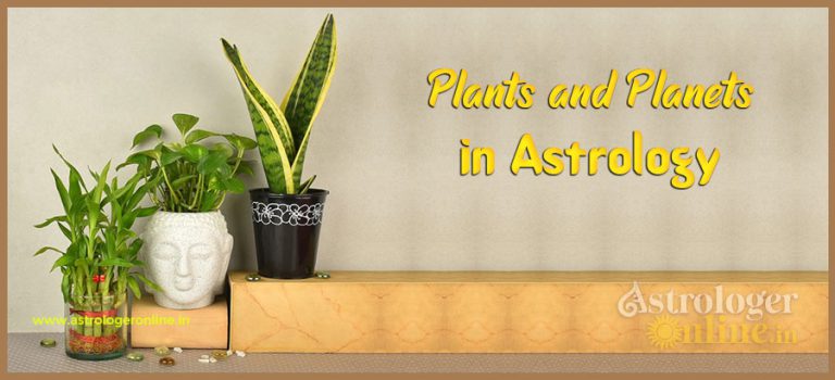 Plants and Planets In Astrology